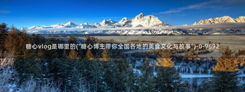 糖心vlog视频在线下载