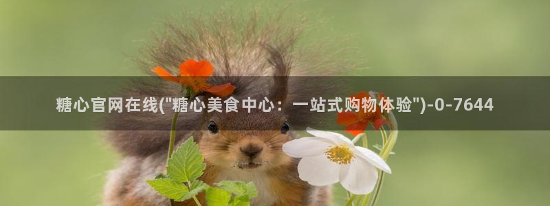 中国区糖心vlog