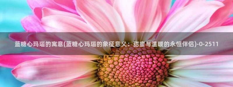 糖心vlog玩偶姐姐视频
