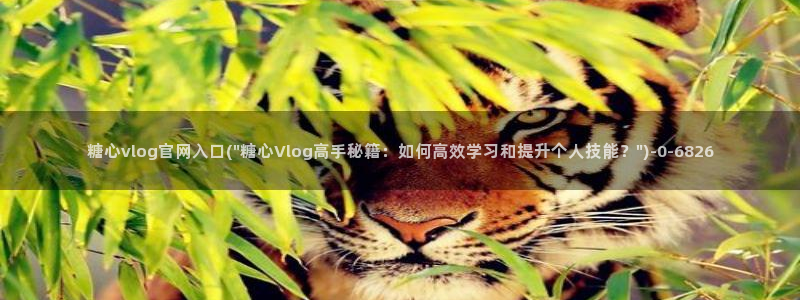 心糖vlogo