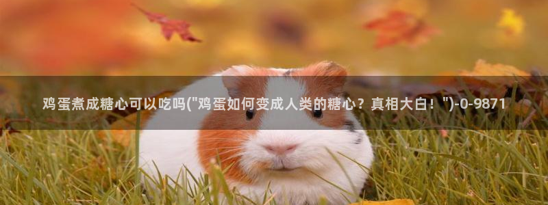 糖心vlog啊啊啊
