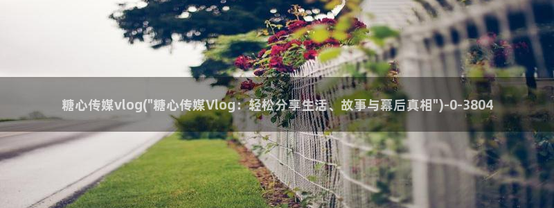 糖心vlog精产国品
