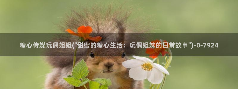 下载糖心vlog